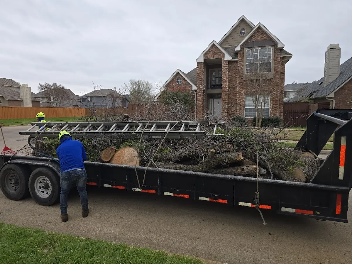 Expert Lot Clearing with proper safety equipment in Westfield